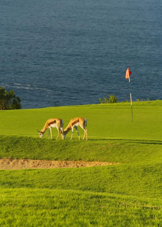Mossel Bay Golf Lodge Exterior foto